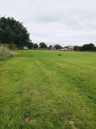 Reviews of Ryecroft Meadow Dog Walking Field in Wrexham - Dog trainer