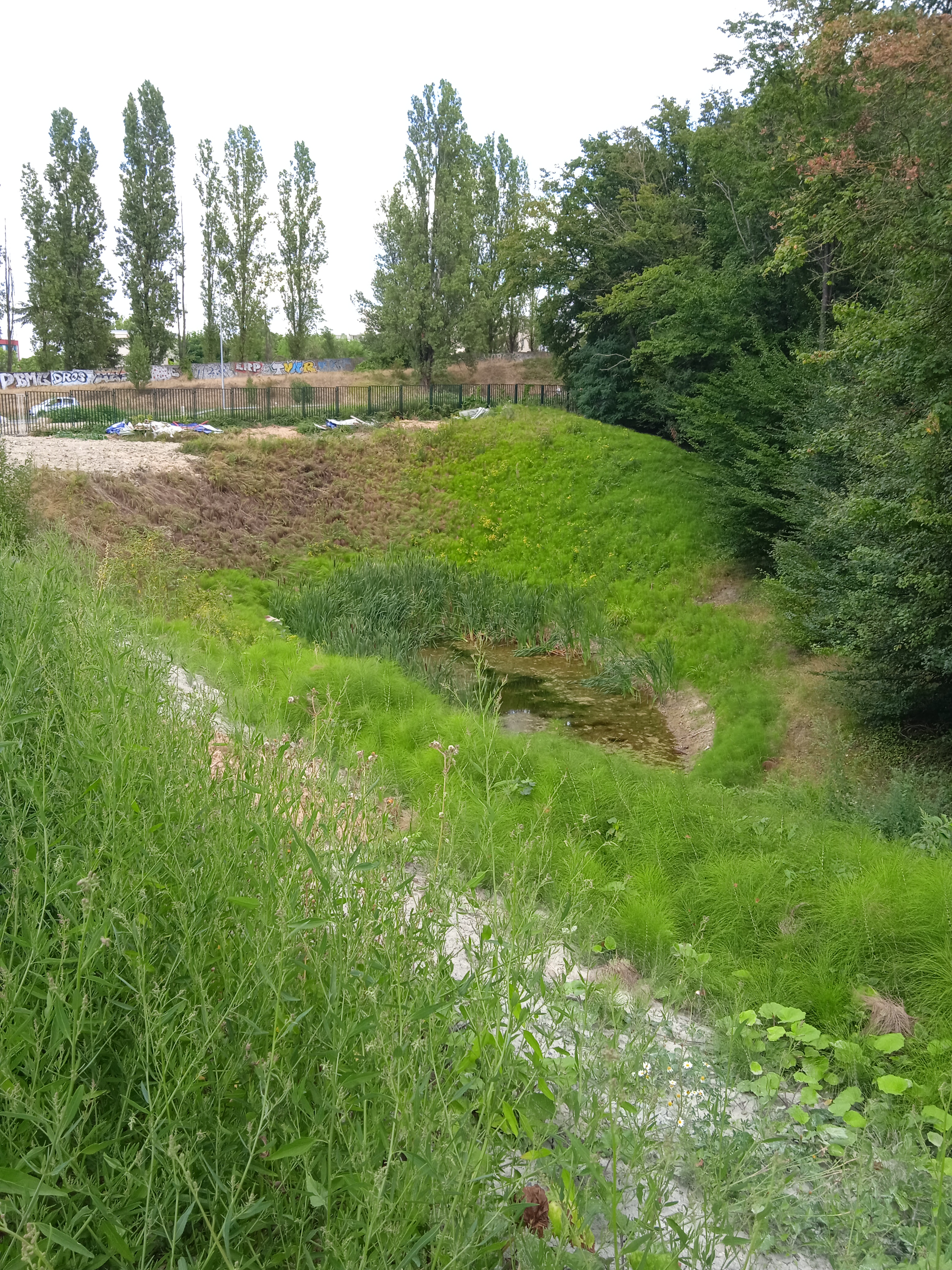 Photo n° 26 de l'avis de Tourn.a fait le 23/08/2022 à 20:34