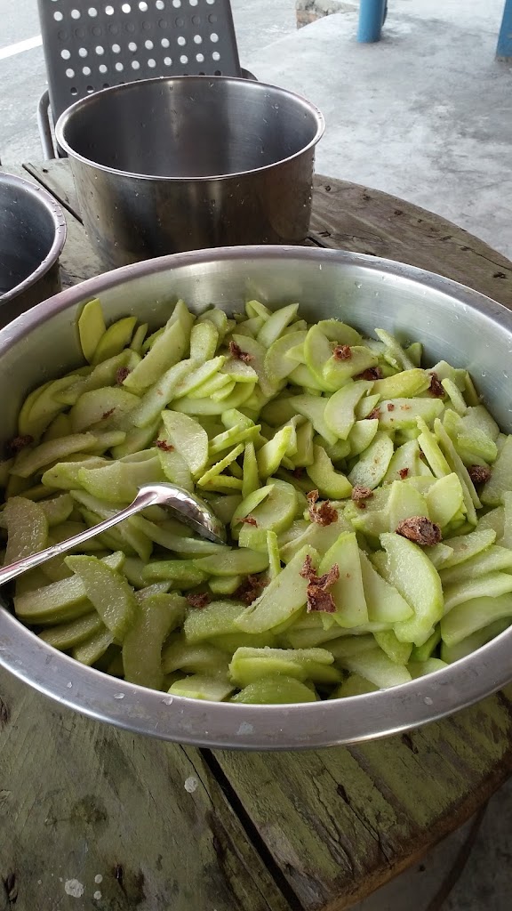 我家小站 的照片