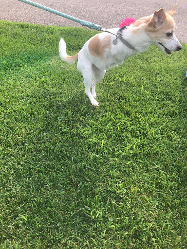 Park «Purgatory Creek Park Pavilion», reviews and photos, 13001 Technology Dr, Eden Prairie, MN 55344, USA