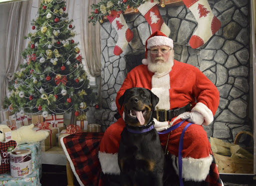 Pet Supply Store «Pet Supplies Plus», reviews and photos, 3100 Manchester Rd, Akron, OH 44319, USA