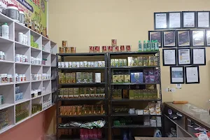 Asclepius Wellness Muzaffarpur (Vidya Ayurvedic Centre) image