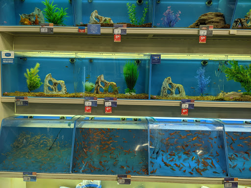 Pet Supply Store «PetSmart», reviews and photos, 17740 Garland Groh Blvd, Hagerstown, MD 21740, USA