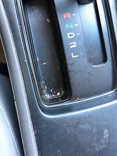 Car Wash «Viking Auto Spa, Car wash & Detailing Center», reviews and photos, 354 Hamilton Ave, Brooklyn, NY 11231, USA