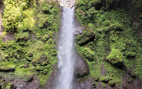 Odana Falls image