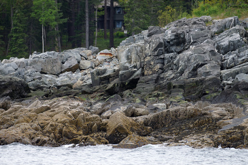 Whale Watching Tour Agency «Bar Harbor Whale Watch Co», reviews and photos, 1 West St, Bar Harbor, ME 04609, USA