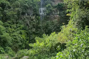 Pipeline Trail (Waterfall) image