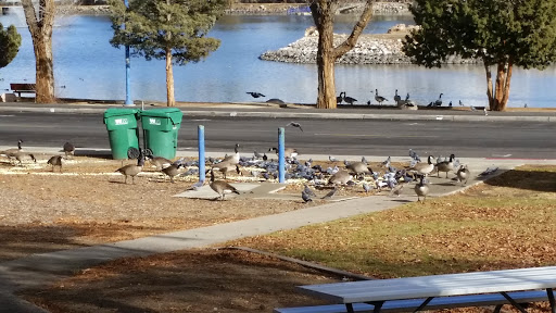 Nature Preserve «Virginia Lake», reviews and photos, 1980 Lakeside Dr, Reno, NV 89509, USA