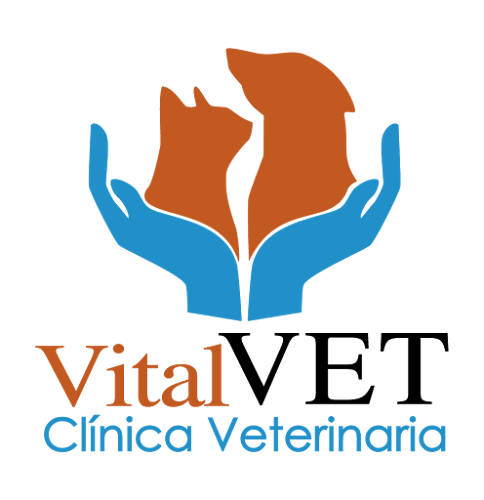 VITALVET - Veterinario
