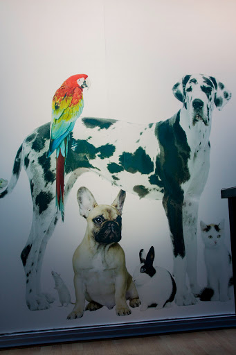 Clínica Veterinaria Minuvet en León