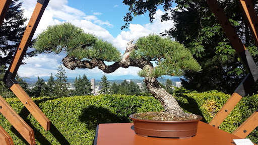 Garden «Portland Japanese Garden», reviews and photos, 611 SW Kingston Ave, Portland, OR 97205, USA