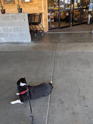 Grocery Store «Stadium Thriftway», reviews and photos, 618 N 1st St, Tacoma, WA 98403, USA