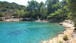 Photo de Zhukova beach avec une baie minuscule
