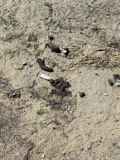 Playground «Varney Playground», reviews and photos, 45 Varney Ave, North Chelmsford, MA 01863, USA