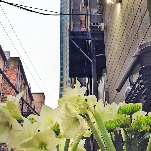 Florist «Buss Flower Shop», reviews and photos, 322 N Milwaukee Ave, Libertyville, IL 60048, USA