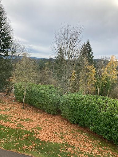 Community Center «Battle Ground Community Center», reviews and photos, 912 E Main St, Battle Ground, WA 98604, USA