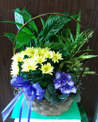 Florist «A Daisy A Day», reviews and photos, 749 Silas Creek Pkwy, Winston-Salem, NC 27127, USA