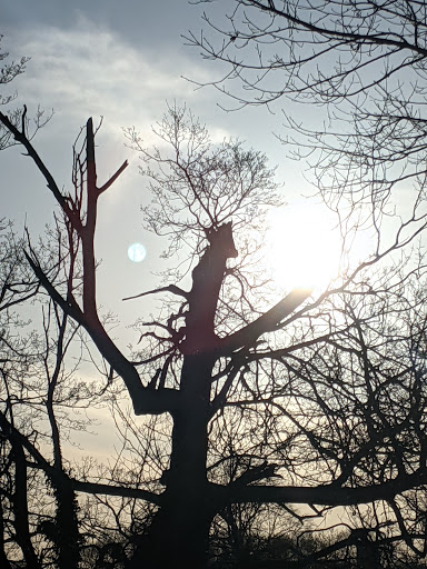 Supermarket «The Harrison Market», reviews and photos, 355 Halstead Ave, Harrison, NY 10528, USA