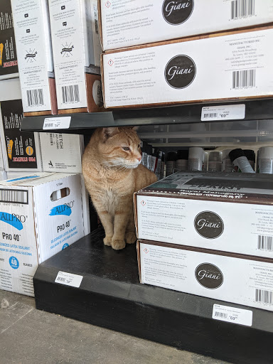 Paint Store «Dages Paint Co», reviews and photos, 1140 E Oak St, Louisville, KY 40204, USA