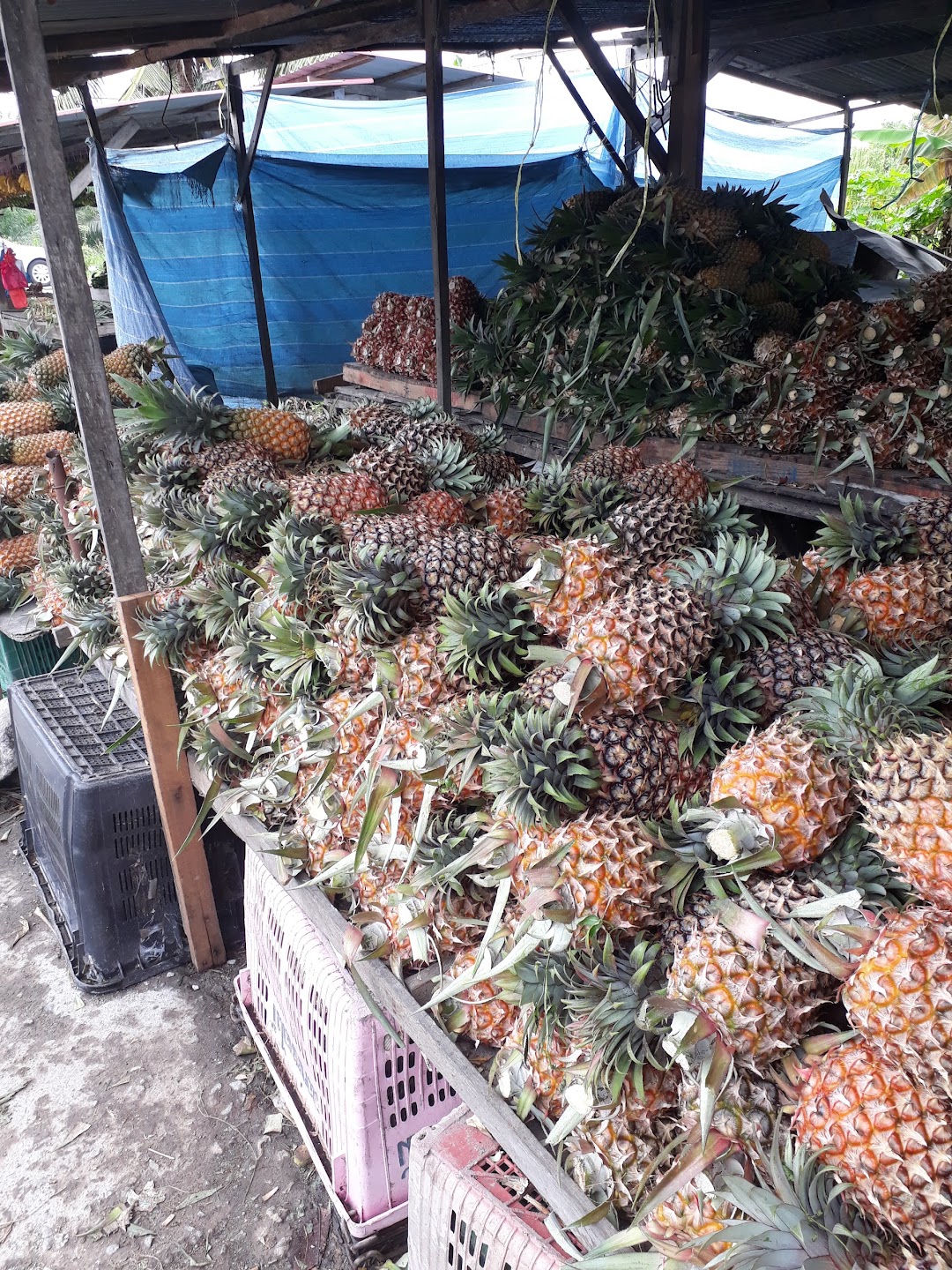 Pineapple Store
