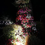 Photo n°14 de l'avis de Barbara.a fait le 25/08/2021 à 17:29 sur le  Ristorante Club Villa Meraville à Bologna