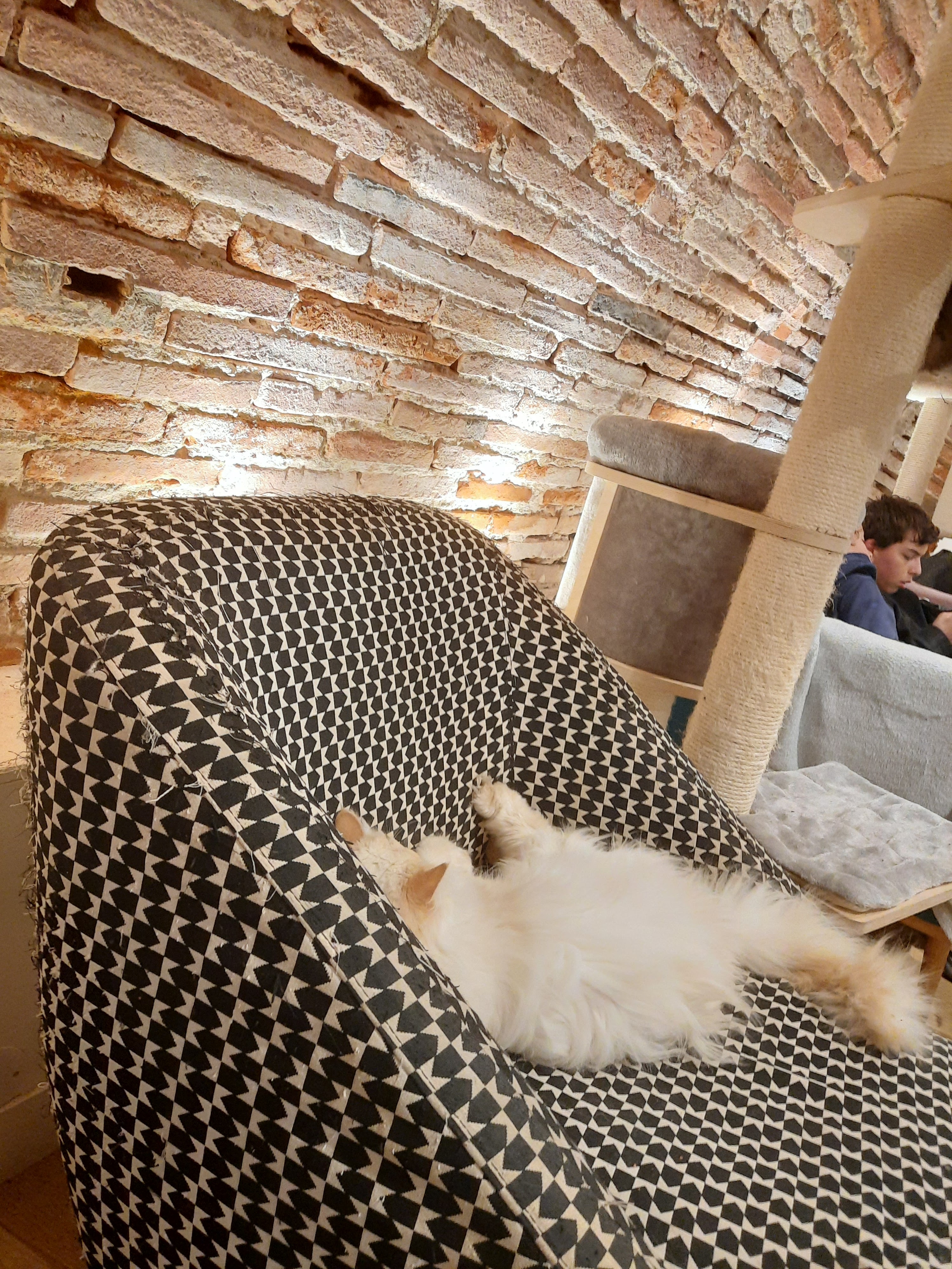 Photo n° 4 de l'avis de Cécilia.a fait le 25/03/2023 à 15:32