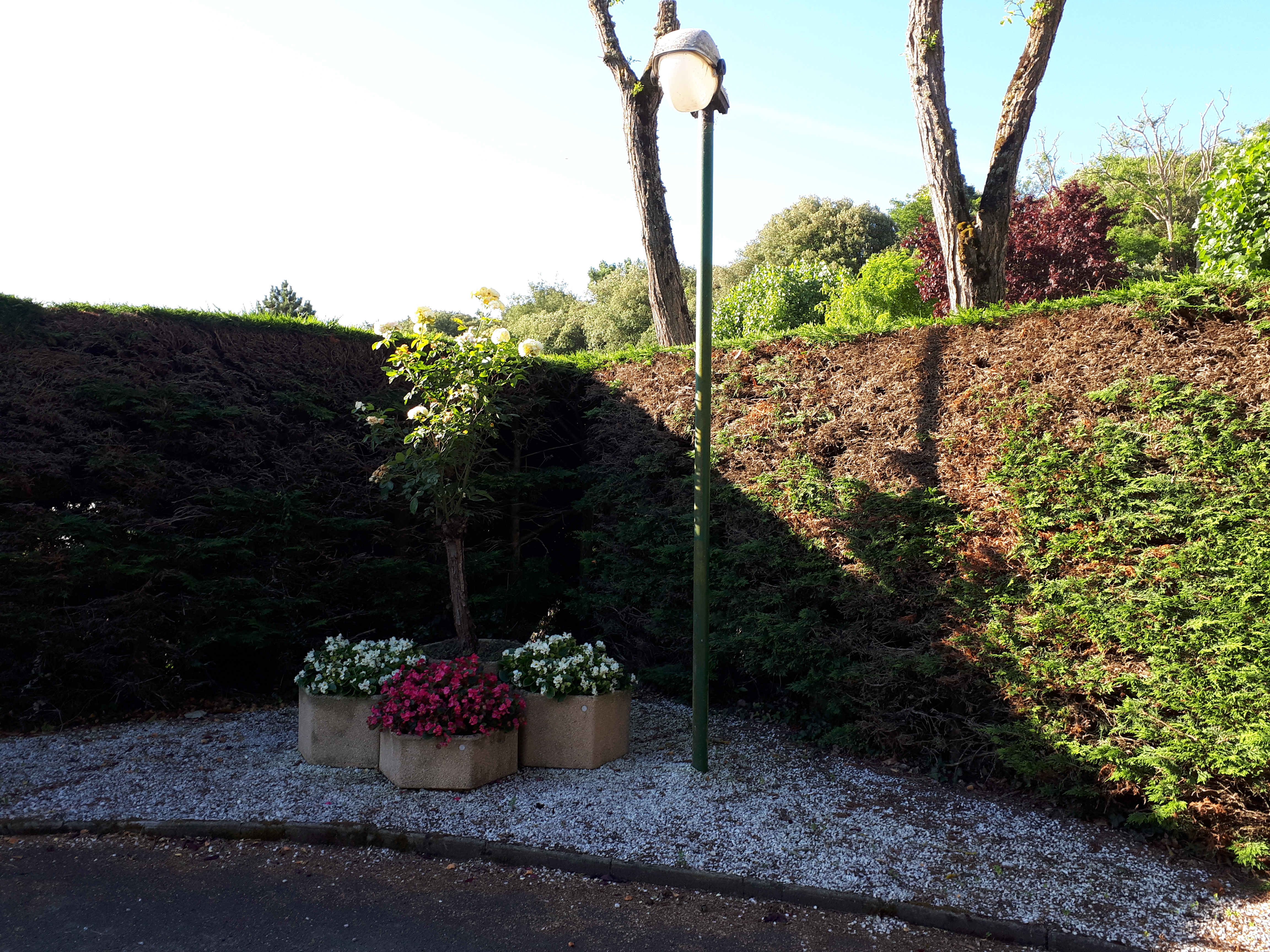 Photo n° 1 de l'avis de Amalou. fait le 02/07/2018 à 17:56