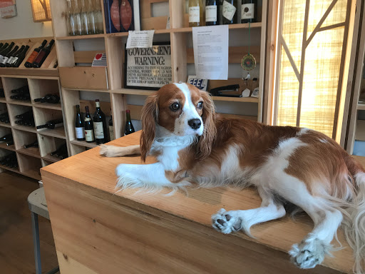 Wine Store «Thirst Wine Merchants», reviews and photos, 11 Greene Ave, Brooklyn, NY 11238, USA