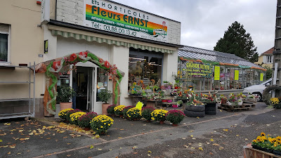 Fleurs Ernst à Sarre-Union