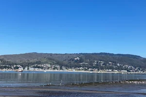 Pillar Point Harbor image