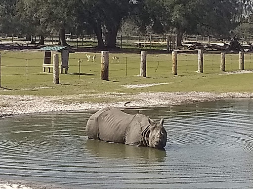 Ranch «Giraffe Ranch», reviews and photos, 38650 Mickler Rd, Dade City, FL 33523, USA