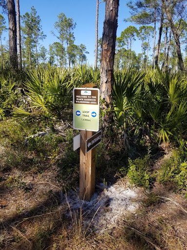 Nature Preserve «Black Hammock Wilderness Area», reviews and photos, 3276 Howard Ave, Oviedo, FL 32765, USA