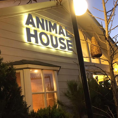 Opiniones de Animal House en La Serena - Veterinario