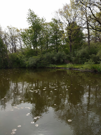 Golf Club «Flint Golf Club», reviews and photos, 3100 Lakewood Dr, Flint, MI 48507, USA