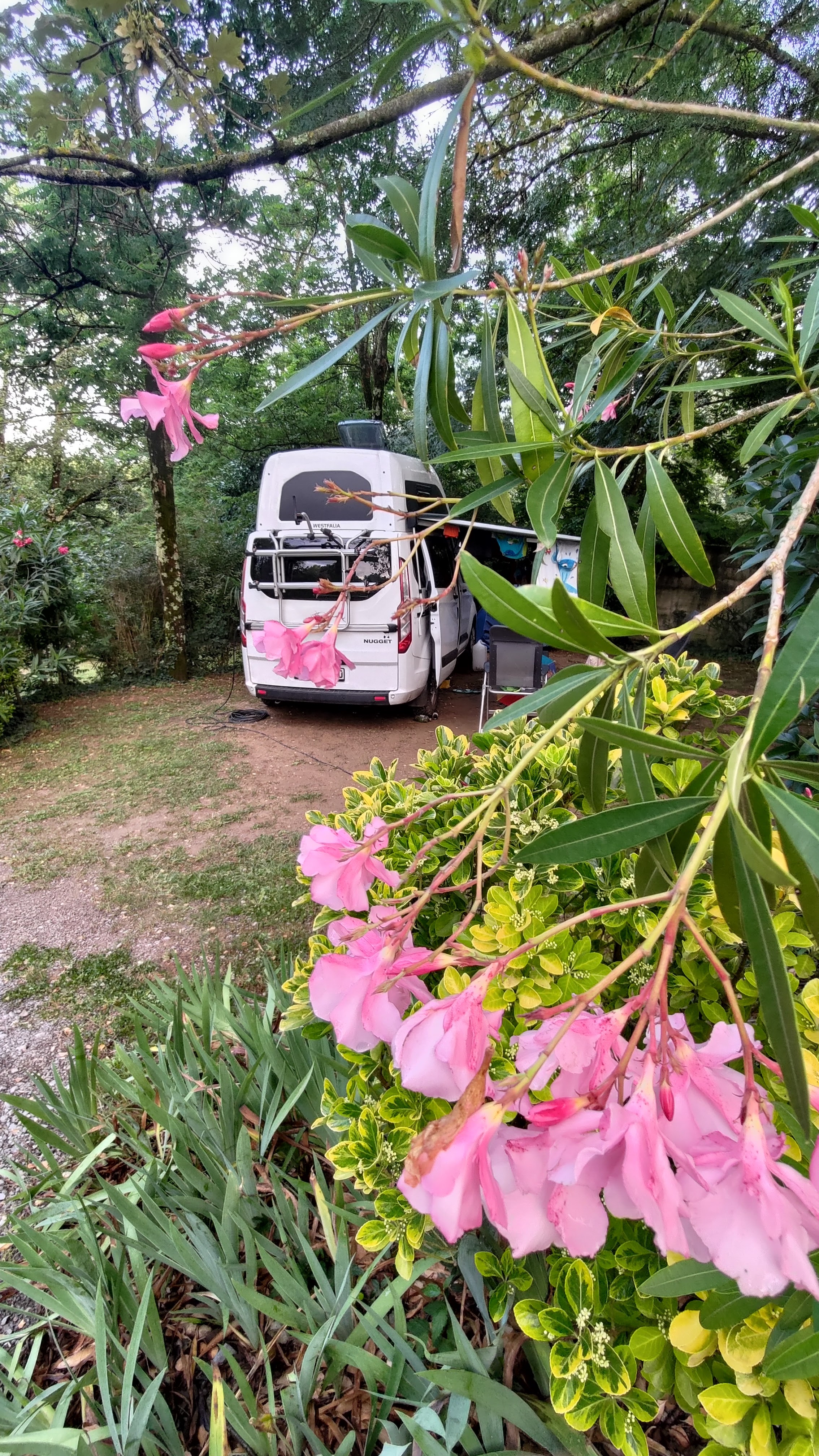 Photo n° 2 de l'avis de Martin.. fait le 24/06/2023 à 19:34