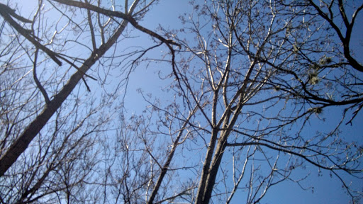 Park «John James Park», reviews and photos, 3910 Rittiman Rd, San Antonio, TX 78234, USA