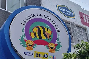 La Casa de los Peces image