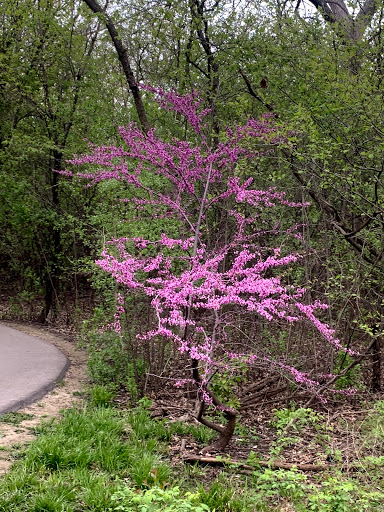 Nature Preserve «Red Oaks Nature Center», reviews and photos, 30300 Hales St, Madison Heights, MI 48071, USA