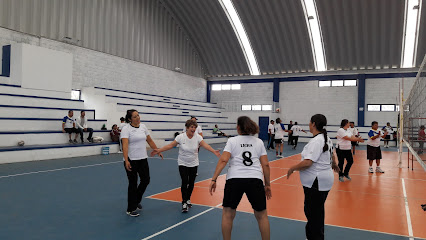 Auditorio De Voleibol Jerez