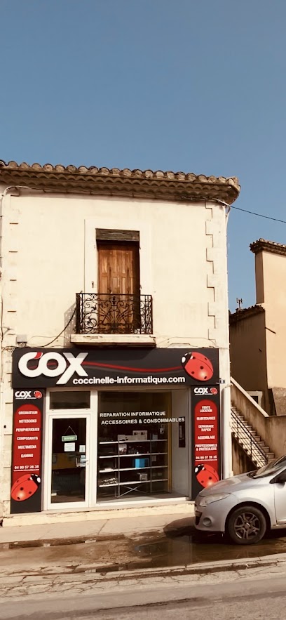 coccinelle informatique Sénas 13560