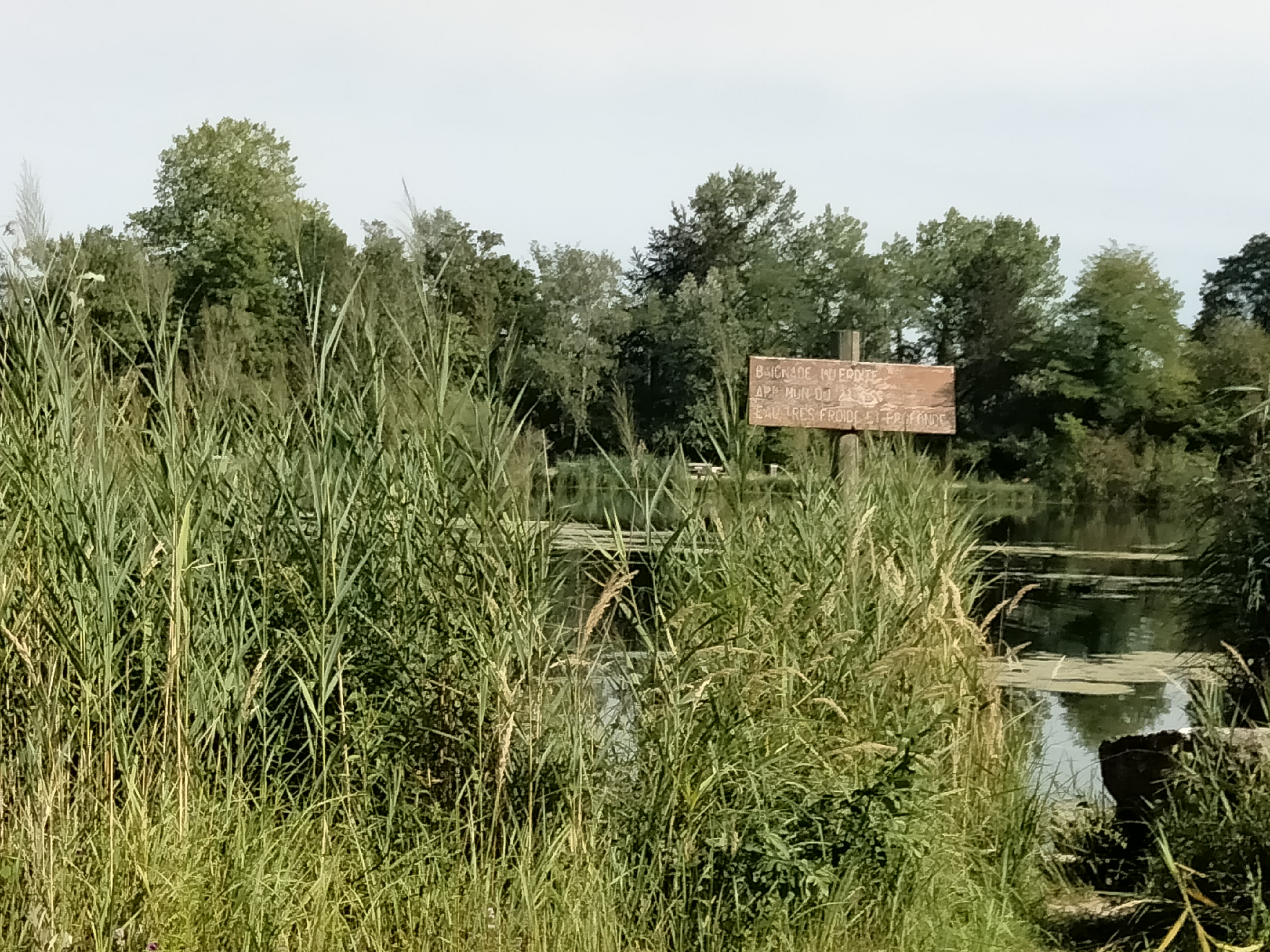 Photo n° 1 de l'avis de Bruno.h fait le 18/06/2023 à 18:26