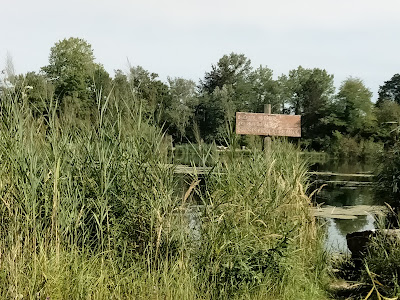 Gravière du Blauelsand à Strasbourg