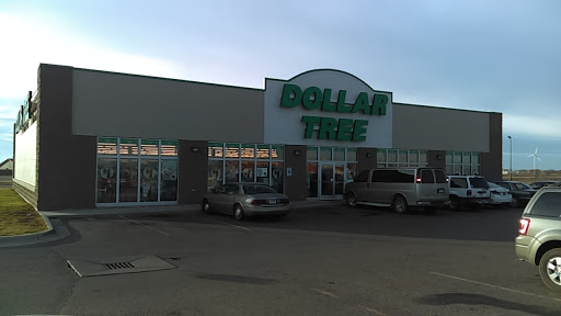 Dollar Store «Dollar Tree», reviews and photos, 601 34th St N, Dilworth, MN 56529, USA