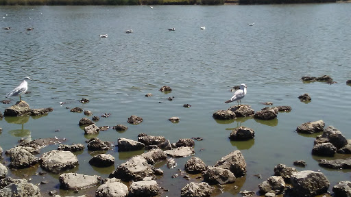 Kennedy Park image