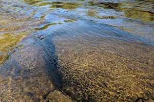 Parc Du Moulin Fisk image