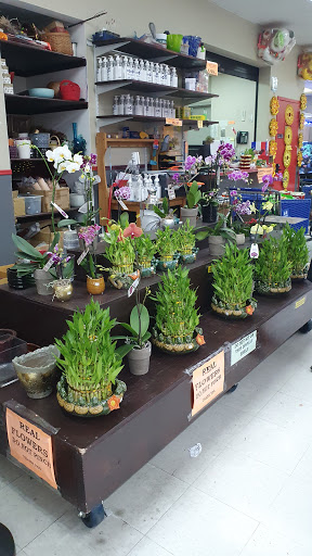 Asian Grocery Store «Hiệp Thái Food Store», reviews and photos, 2430 E Pioneer Pkwy, Arlington, TX 76010, USA