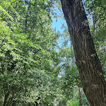 Photo n°14 de l'avis de Antonio.a fait le 31/07/2022 à 08:26 sur le  Ristorante Bar Alla Letizia Sul Volturno à Sant'Eusanio