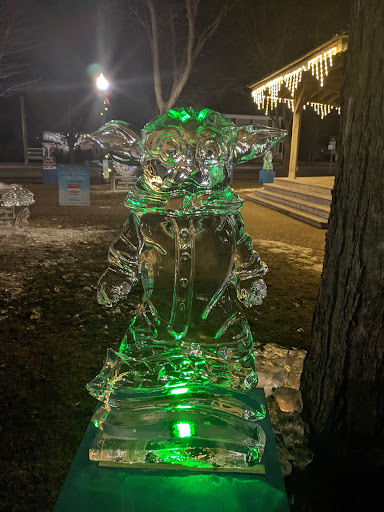 Bar «The Beer Grotto», reviews and photos, 8059 Main St, Dexter, MI 48130, USA