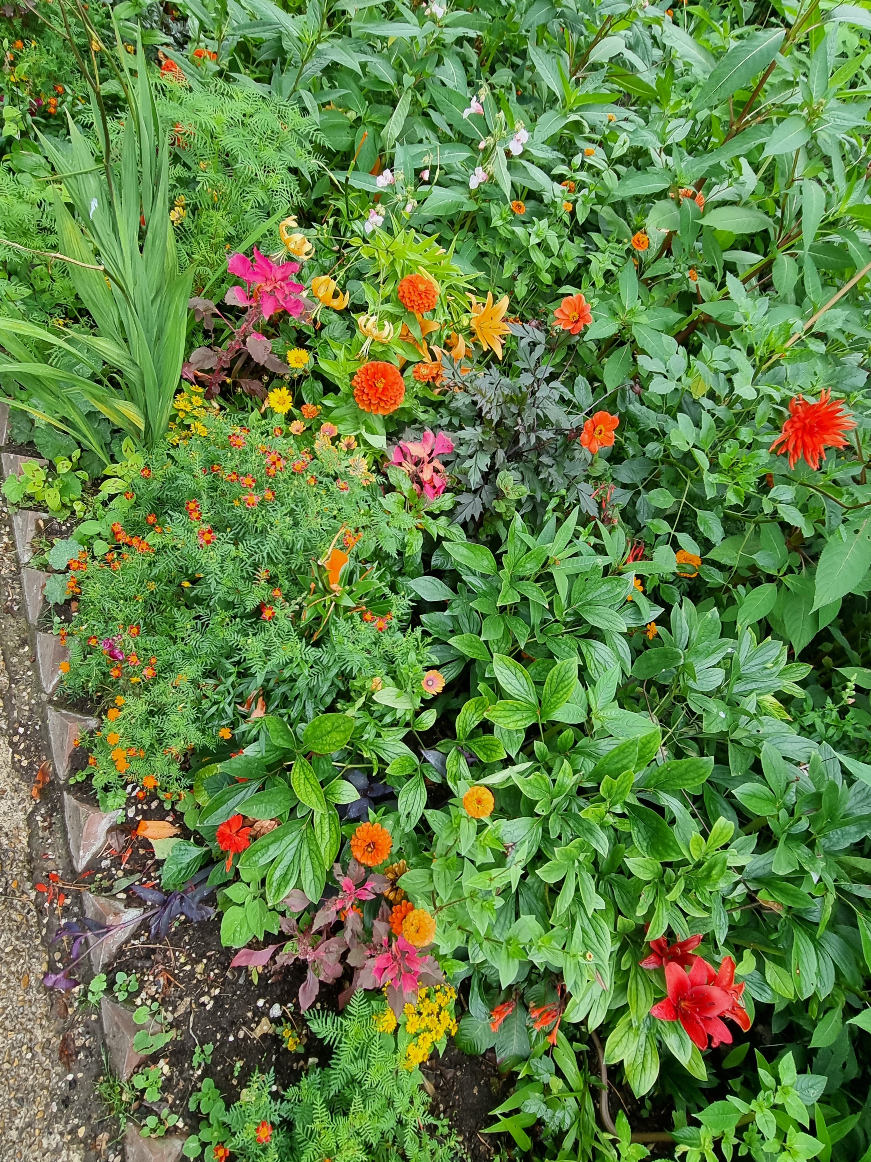 Photo n° 5 de l'avis de Audrey.a fait le 25/07/2023 à 07:20