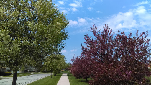 Park «Ehlert Park», reviews and photos, Congress Park Ave, Brookfield, IL 60513, USA